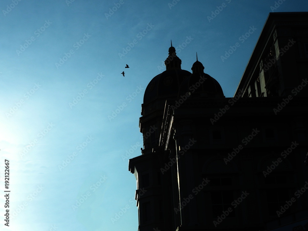 A silhouette two birds flying through a European building.