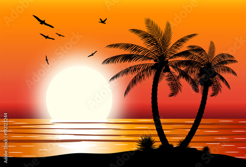 Silhouette of palm tree on beach.