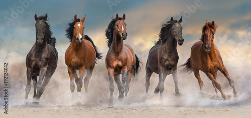 Fotografie, Obraz Horse herd run fast in desert dust against dramatic sunset sky