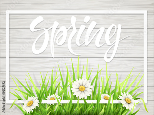Spring lettering with grass and chamomile in frame on wooden background.