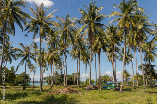 Bunter Bus unter Palmen auf Koh Yao Yai