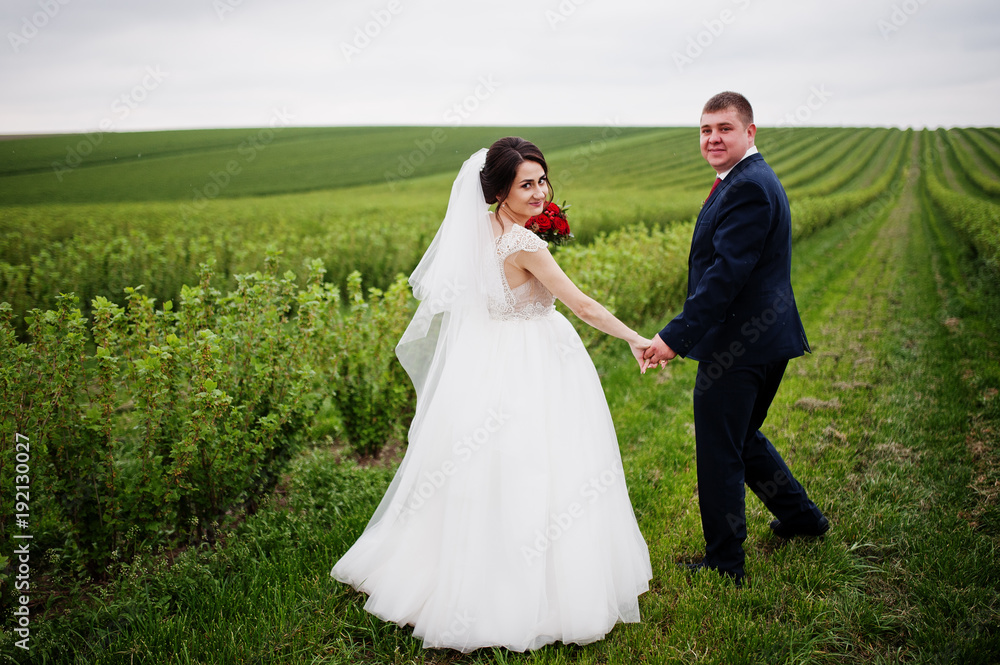 Attractive young wedding couple posing on the blackcurrant field on their wedding day.
