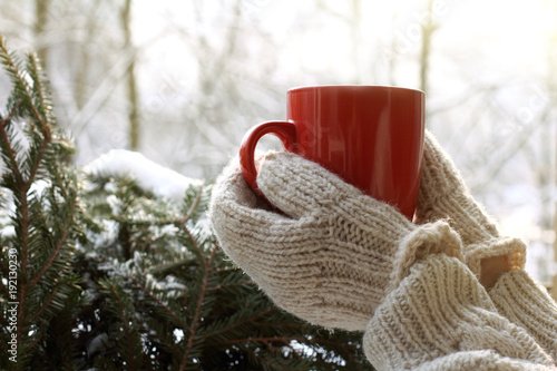 warming atmosphere of a winter morning/ Hands in mittens are holding red mug against the background of snow-covered green tree