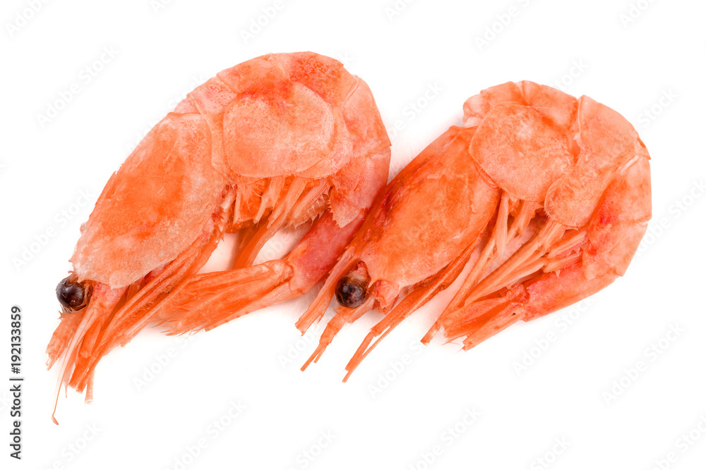 Red cooked prawn or shrimp isolated on white background Red cooked prawn or shrimp isolated on white background