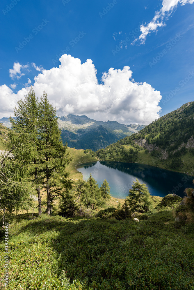 Adamello with Camp Lake (Lago di Campo) - Trento Italy 