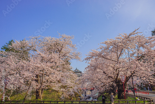春の弘前城の風景