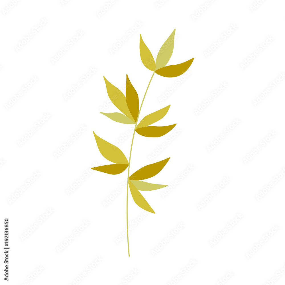 Vector flat abstract green plant icon. Wild meadow field grass garden spring easter, women day romantic holiday, wedding invitation card decoration element summer floral Illustration white background Vector flat abstract green plant icon. Wild meadow field grass garden spring easter, women day romantic holiday, wedding invitation card decoration element summer floral Illustration white background