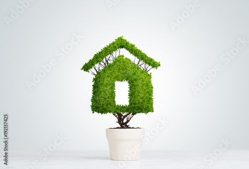Concept of ecology recycling and eco construction with plant in pot