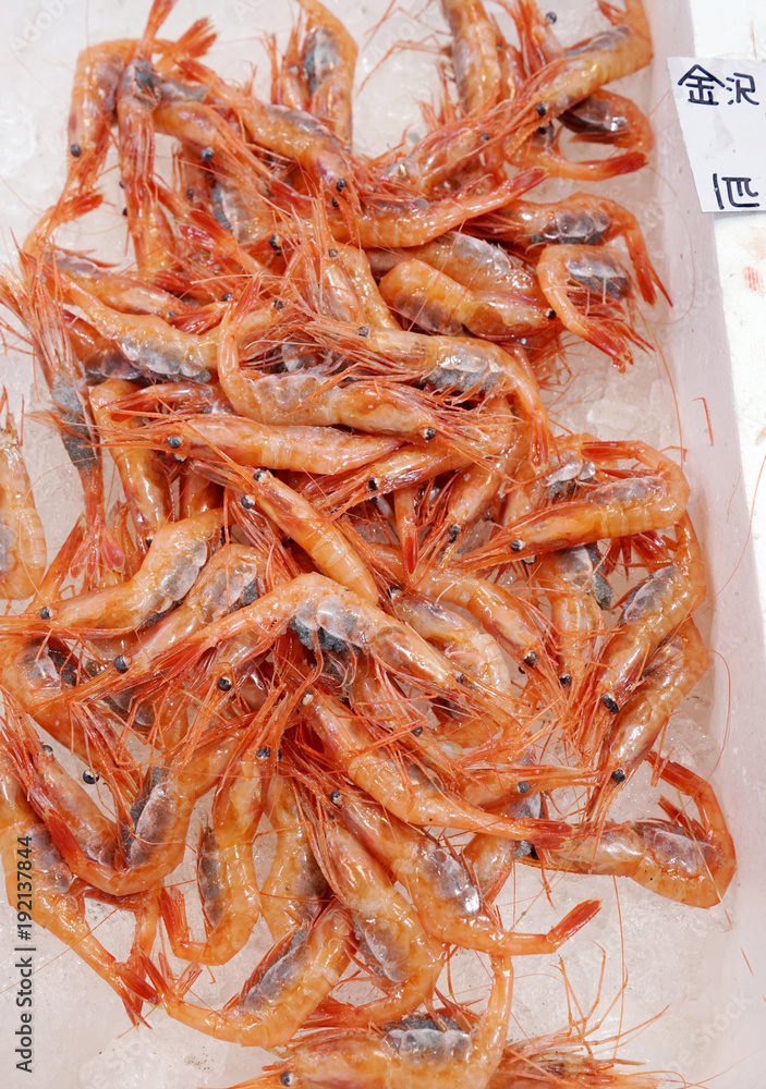 海老 甘えび 海老 甘えび