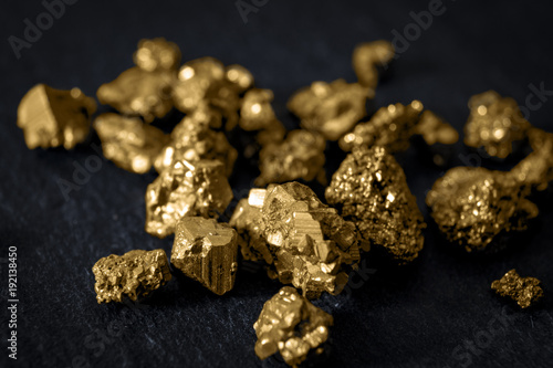 Obraz na płótnie Gold mining and and investment in precious metals concept with close up on golden nuggets on a black background w salonie