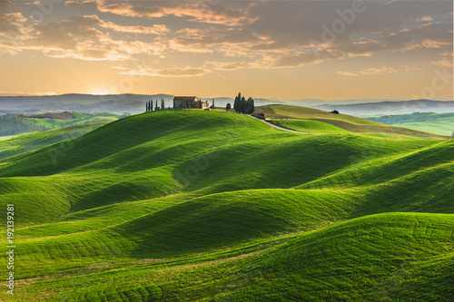 Spring in the fields of Tuscany in the sunset photo