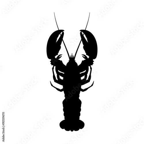 Black silhouette of lobster. Top view. Restaurant dish. Seafood. Image of langust. Vector illustration