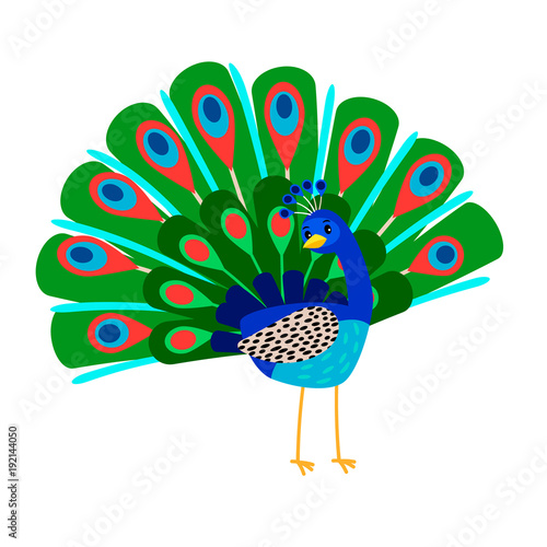 Cartoon peacock bird icon