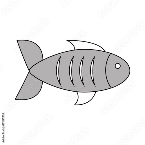 Fish seafood symbol icon vector illustration graphic design