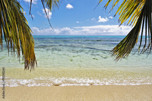 Madagascar 1669 palmtree leaves Saint Marie island