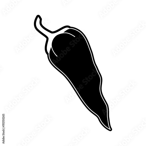 Chilli spicy vegetable icon vector illustration graphic design photo