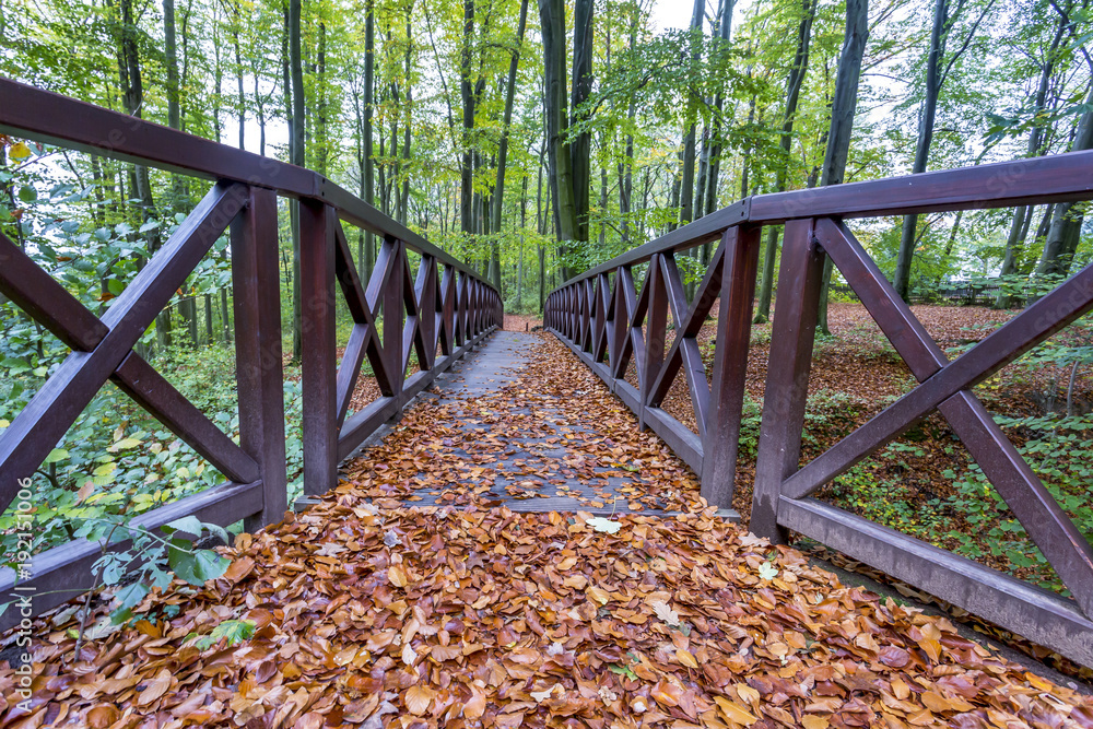 Wooden bridge in the park