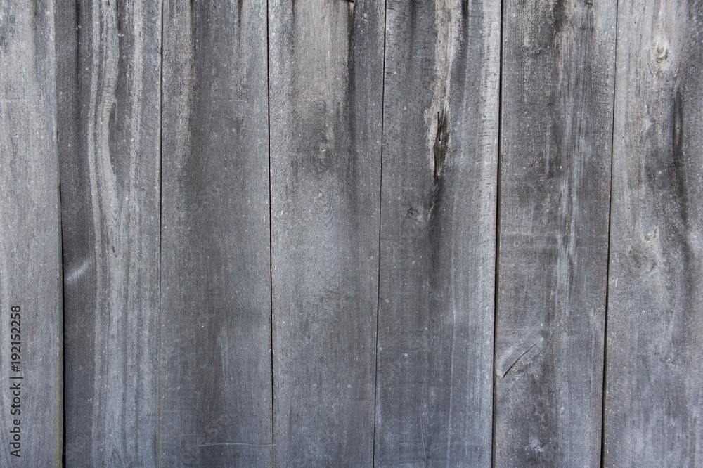Naklejka premium Grey wood rough texture, wall