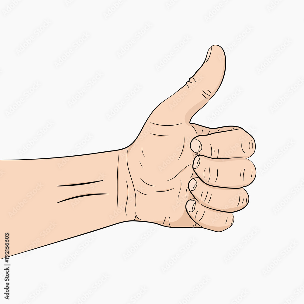 Hand with the thumb up. Vector illustration.