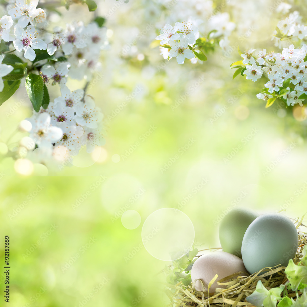 Easter eggs with spring blossoms