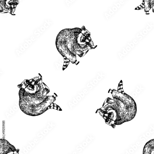 Seamless pattern of hand drawn sketch style raccoon. Vector illustration isolated on white background.