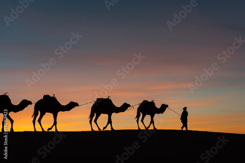 Silhouette of caravan in desert Sahara, Morocco with beautiful and colorful sunset in background © danmir12