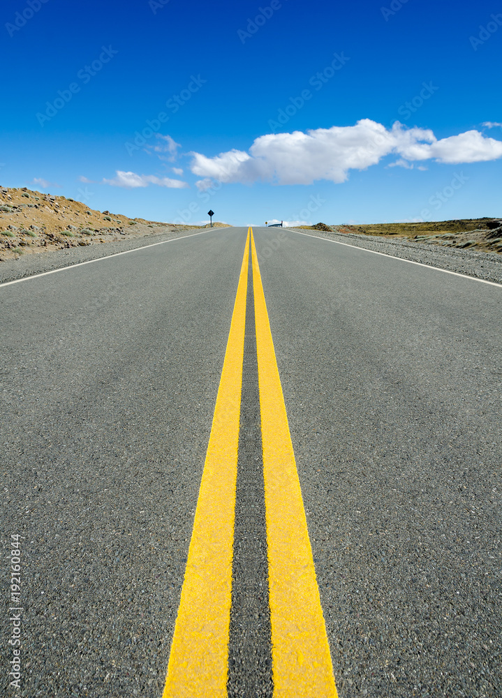 Fototapeta premium Desert road to nowhere, in Patagonia, South America, „Ruta 40“, Argentina.