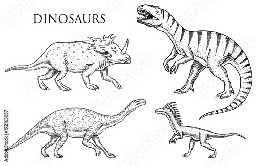 Dinosaurs Tyrannosaurus rex, Velociraptor, Ceratosaurus, Afrovenator, Megalosaurus, Tarbosaurus, Struthiomimus skeletons, fossils. Prehistoric reptiles, Animal engraved Hand drawn vector