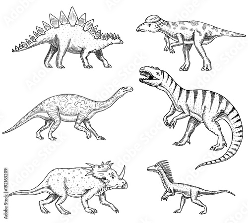 Dinosaurs set  Triceratops  Barosaurus  Tyrannosaurus rex   Stegosaurus  Pachycephalosaurus  deinonychus  skeletons  fossils. Prehistoric reptiles  Animal Hand drawn vector.