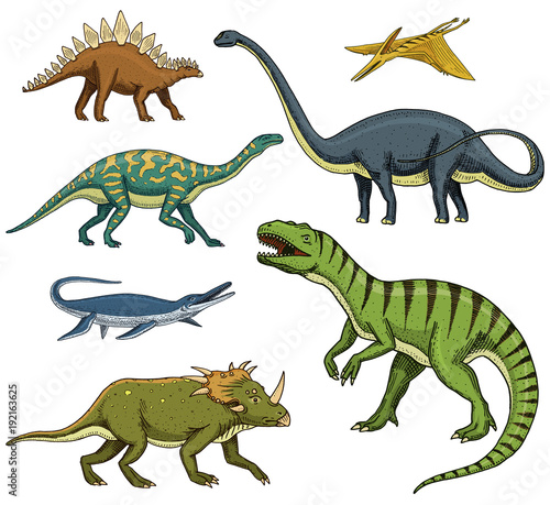 Dinosaurs set, Tyrannosaurus rex, Triceratops, Barosaurus, Diplodocus, Velociraptor, Triceratops, Stegosaurus, skeletons, fossils. Prehistoric reptiles, Animal Hand drawn vector.