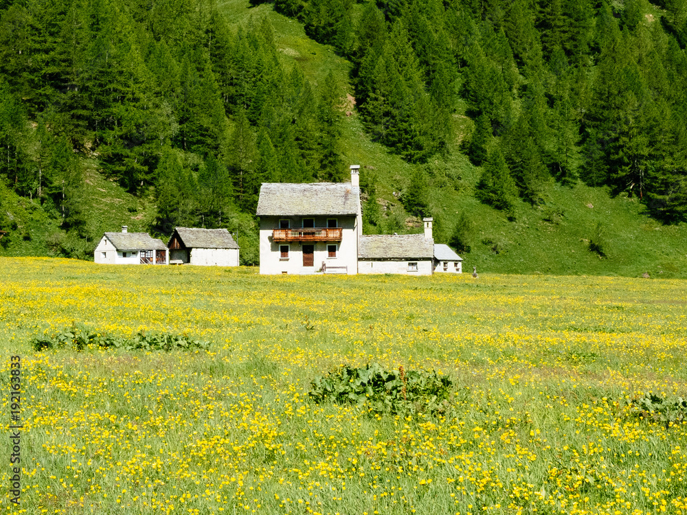 Fototapeta premium Small mountain village of Alpe devero, Lepontine Alps, summer mountain landscape