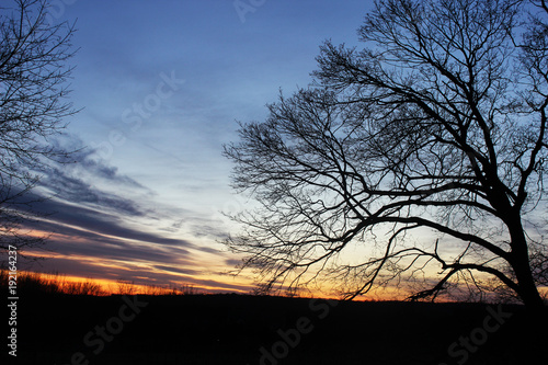 Sunset overlooking vineyard 