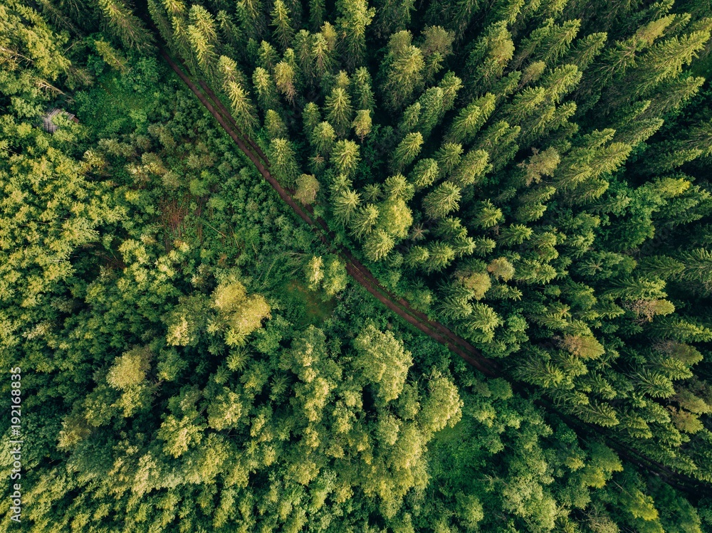 Fototapeta premium Widok z lotu ptaka odgórny lato zieleni drzewa i droga w lesie w wiejskim Finlandia.