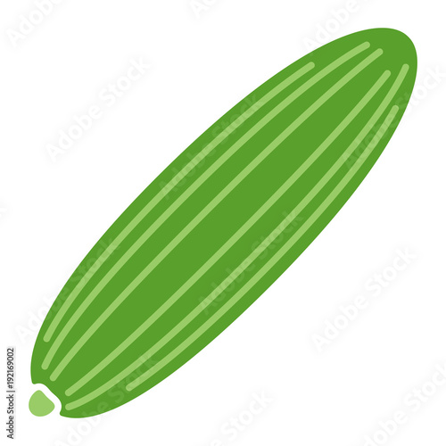 Gemüse Icon - Gurke, Zucchini