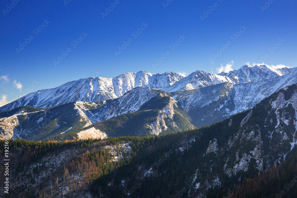 Scenery of Tatra mountains at winter, Poland