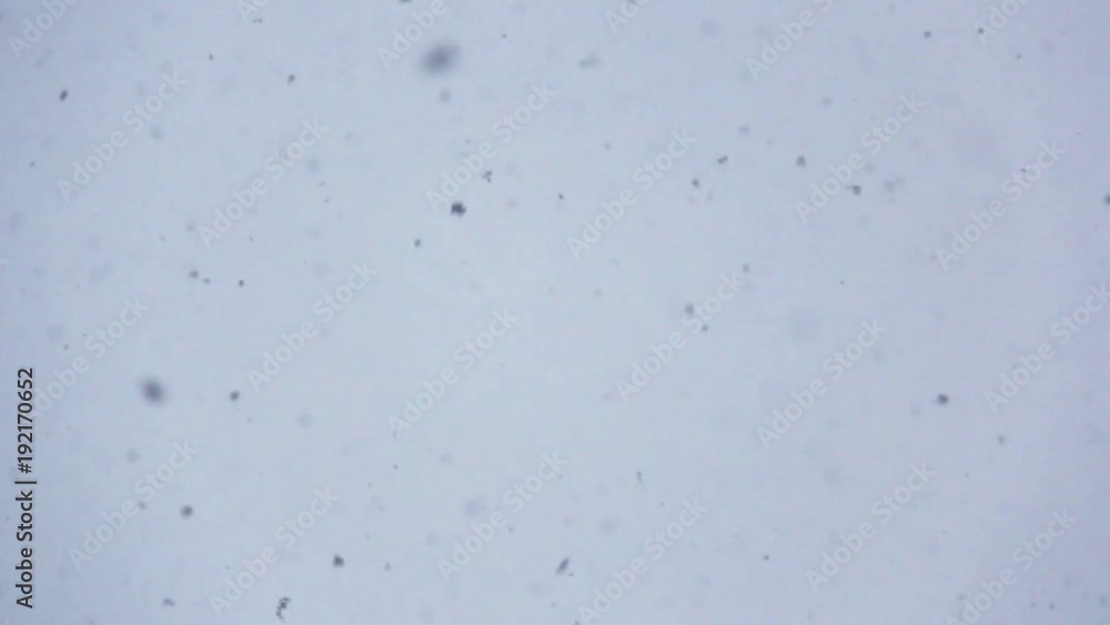 slowly falling snow flakes against white sky slowly falling snow flakes against white sky