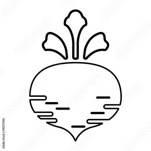 Gemüse Icon - Rübe
