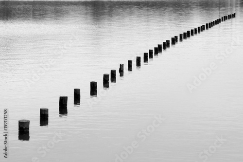 Posts in lake