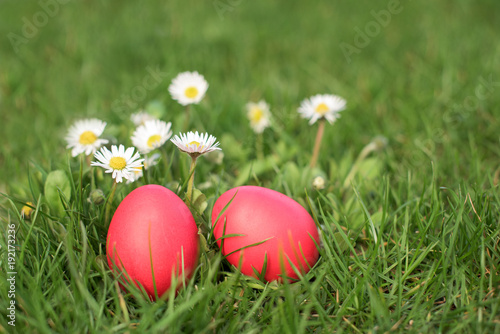 Two Easter eggs in the grass