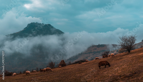 Babintsi, Teteven, Bulgaria