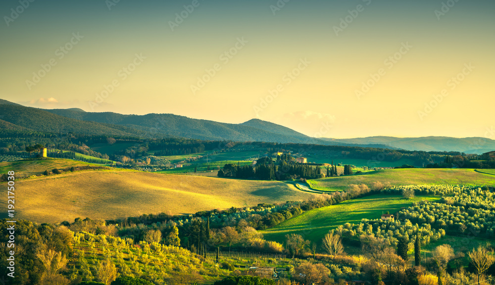 Maremma countryside and Magona forest. Bibbona, Tuscany, Italy.