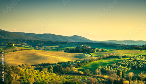 Maremma countryside and Magona forest. Bibbona, Tuscany, Italy.
