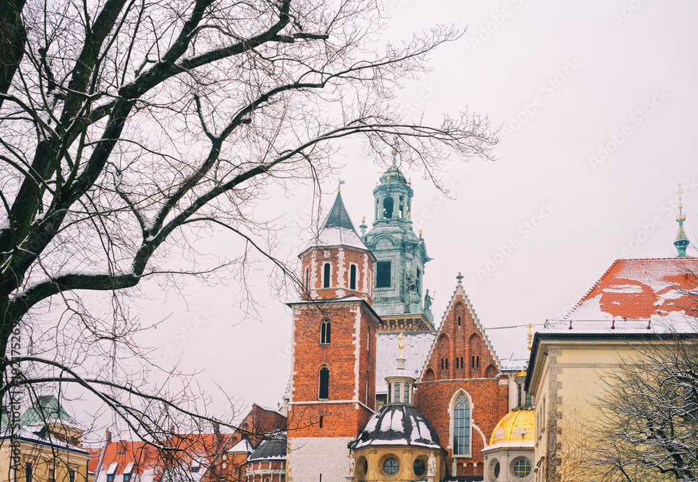 Wawel hill in Krakow, Poland