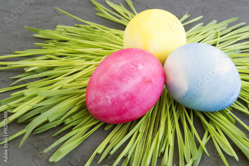 Easter colored eggs on the grey background.