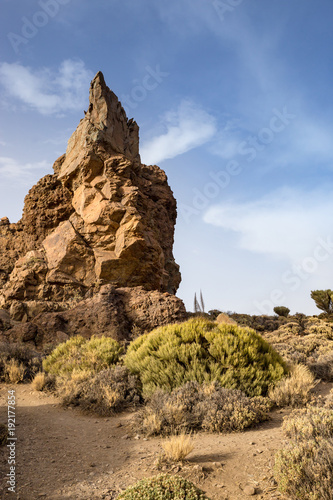 Unique Rock Formation in Teide National Park  Tenerife  Spain  Europe