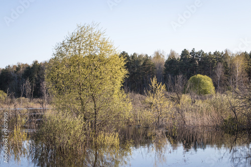 spring flood of the river in Siberia on a sunny May day