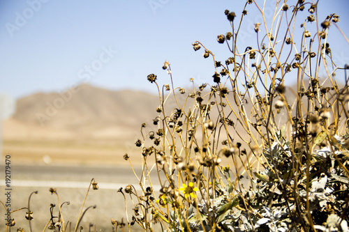 Atacama