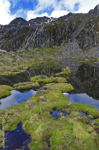 Banks of lagoon full of moss (Distichia muscoides). Huancayo, Peru