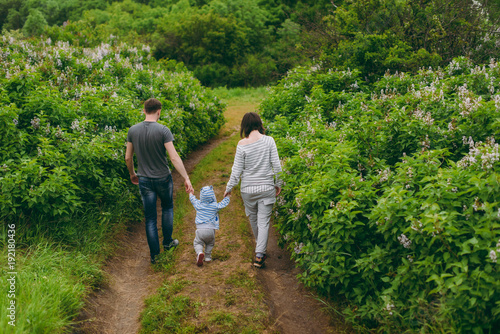 Man, woman walking on nature bush background holding hands little cute child baby boy. Mother, father, little kid son. Parenthood, family day 15 of may, love, parents, children concept. Back view. © ViDi Studio