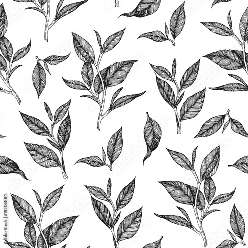 Tea seamless pattern. Hand drawn tea leaf vector illustration. Vintage packaging design. Engraved style.
